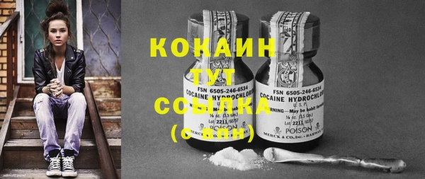 гашик Балахна