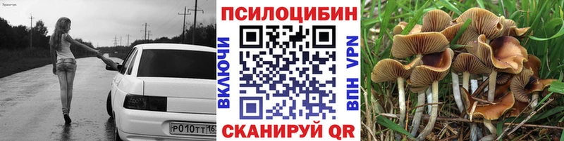 Купить  Волгореченск  Галлюциногенные грибы ЛСД 